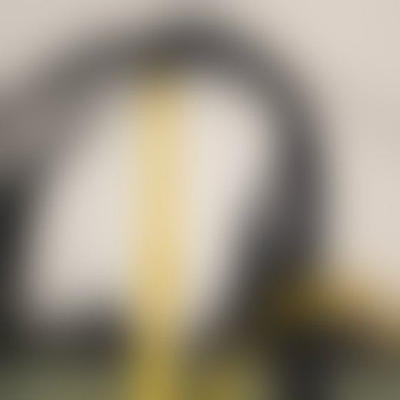 Free People En Riva Raffia Tote Bag - Picture 13 of 13